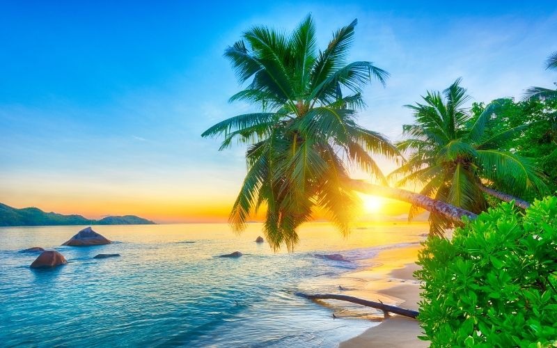 An Underwater Wonderland