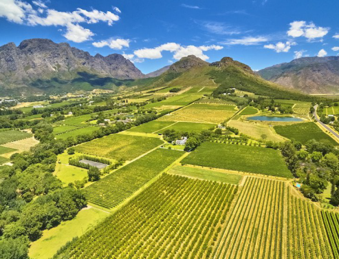 Franschhoek Vineyards