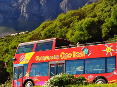 Red Bus View
